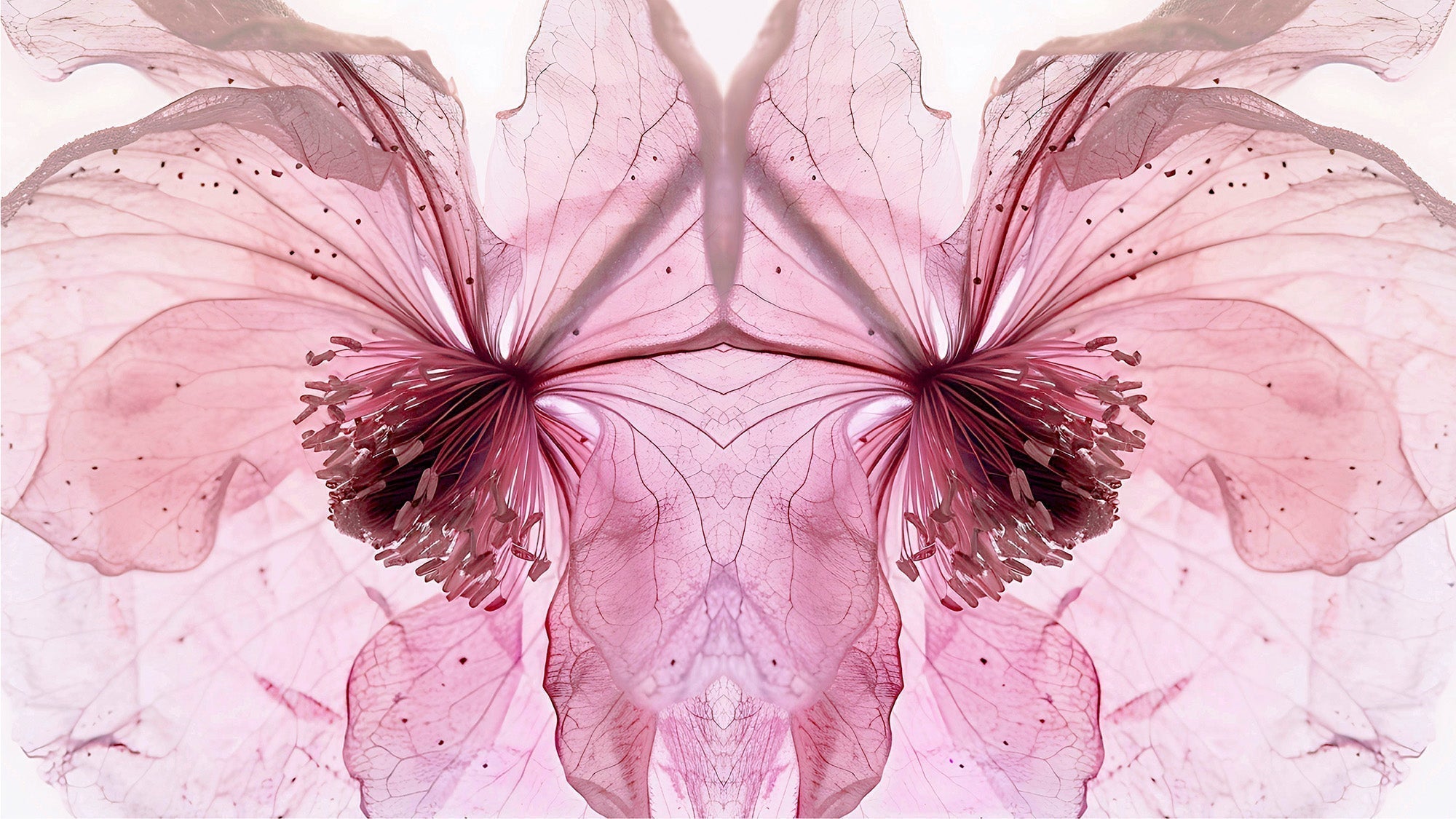 The art of scent layering